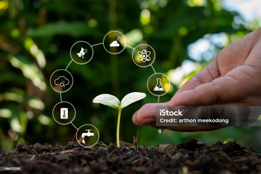 طبقات طيفية توضح صحة الغطاء النباتي